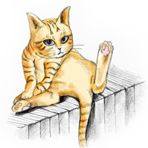 ǰ 